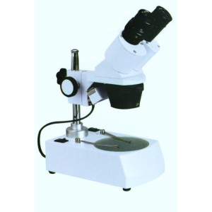 Stereo Microscope